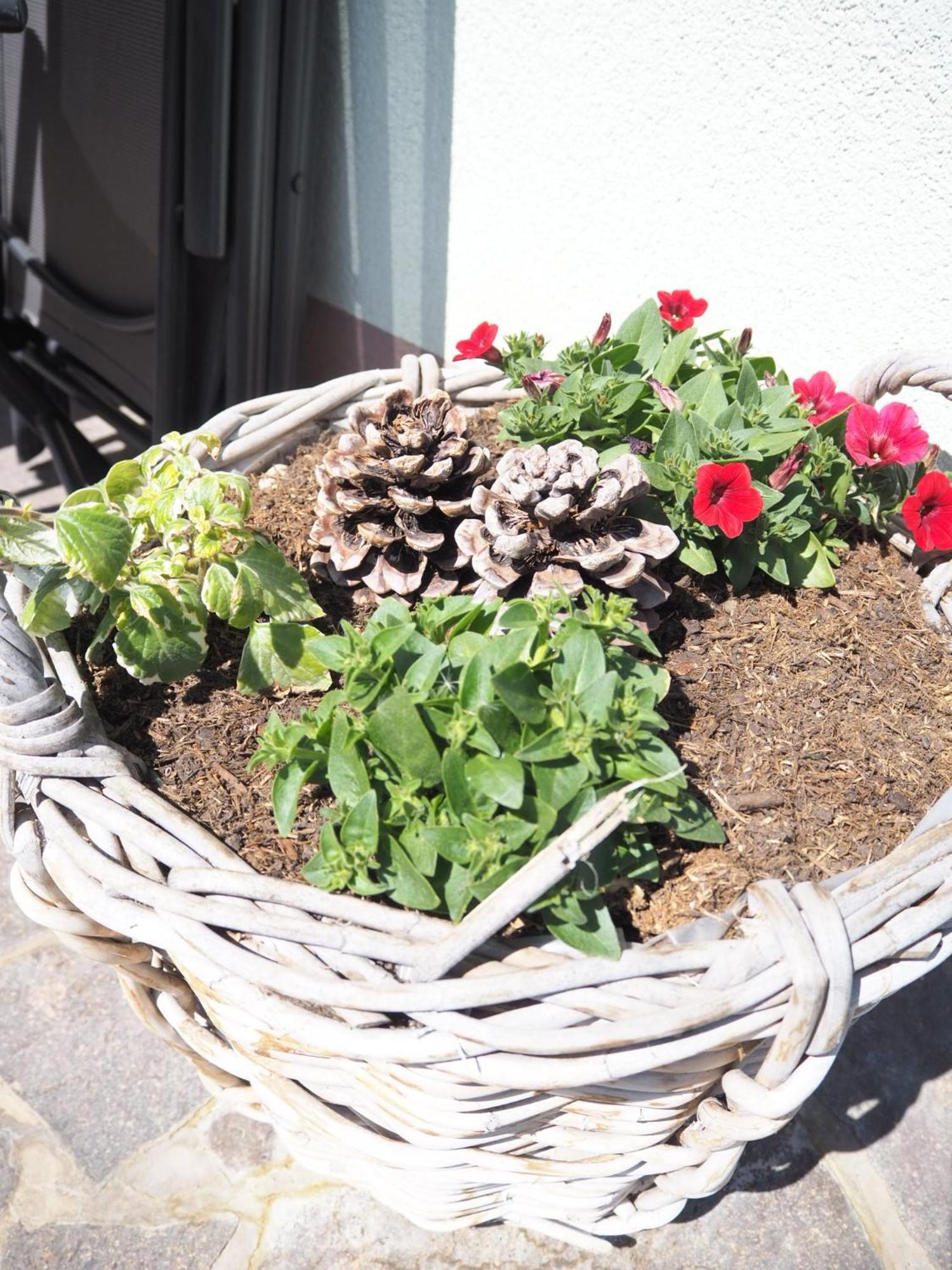 Appartement Felsenheim Westendorf Ngoại thất bức ảnh